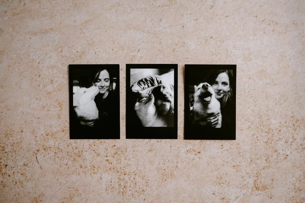 Photo Wall Ideas – Create a Personal Gallery That Tells Your Story