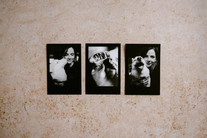 Black and white photos in frames arranged on textured wall